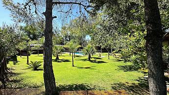 Lemon Tree Hostel