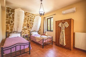 Olive Farm