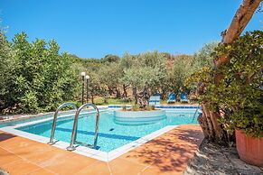 Olive Farm