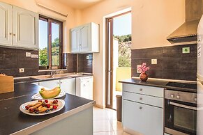 Olive Farm