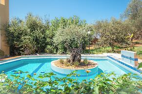 Olive Farm