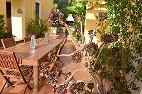 Olive Farm