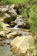 Pritanio