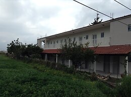 Dias studios