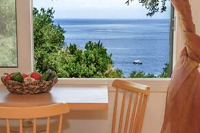 Paxos Blue