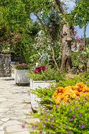 Paxos Blue