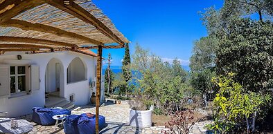 Paxos Blue