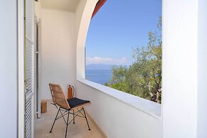 Paxos Blue