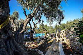 Paxos Blue