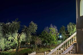 Paxos Blue