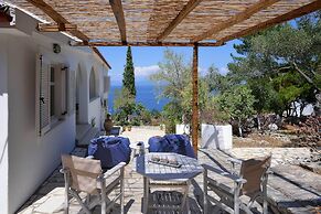 Paxos Blue
