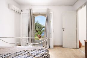 Paxos Blue
