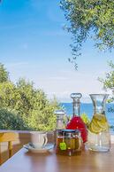 Paxos Blue
