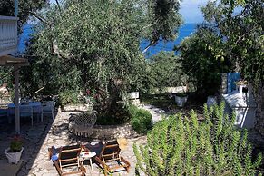 Paxos Blue