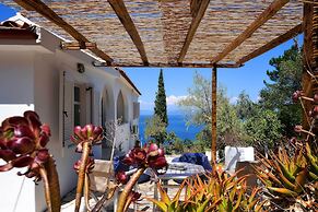Paxos Blue