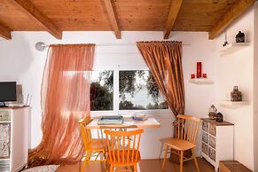 Paxos Blue