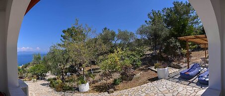 Paxos Blue