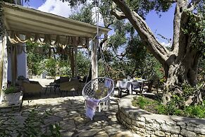 Paxos Blue