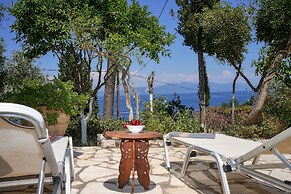 Paxos Blue