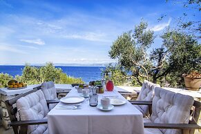 Paxos Blue