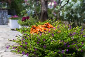 Paxos Blue