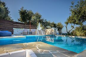 Paxos Blue