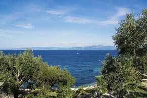 Paxos Blue