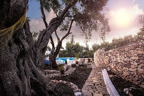 Paxos Blue