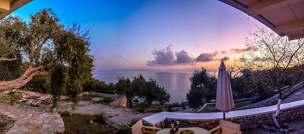 Paxos Blue