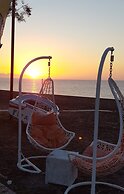 Pleasure Beachside Studios
