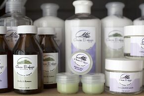 RAYENTRAY OCEANO