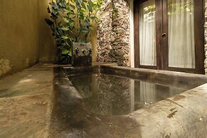 Hacienda el Salitre Hotel & Spa