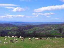 Agriturismo I Lapi