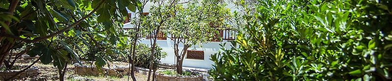Naftilos Skiathos