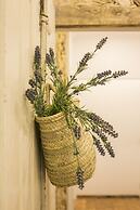 262 Boutique Hotel