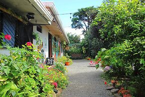 Casa Jungle Monteverde Bed & Breakfast