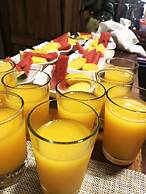 Casa Jungle Monteverde Bed & Breakfast