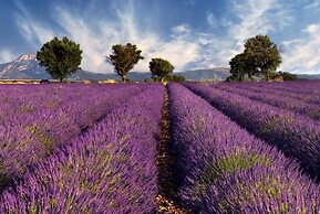 Les Lavandes