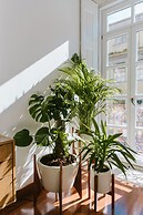 Myo Design House