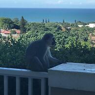 Seaview Manor Exquisite Bed & Breakfast
