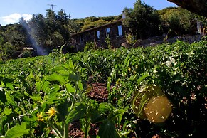 Assos Alis Farm Boutique Hotel & SPA