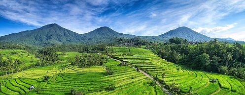 Hillside Eden Bali