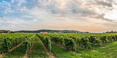 Tenuta La Presa