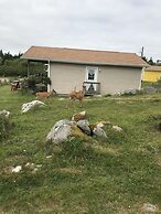 Whispering Waves Cottages