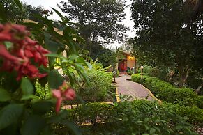 Aacorn Hideaway Resort & Spa