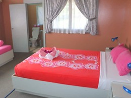Aniva's Place
