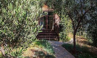 Kabak Avalon