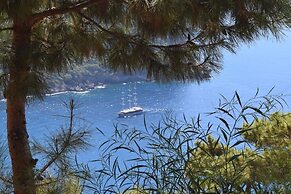 Kabak Avalon