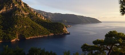 Kabak Avalon