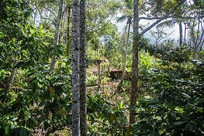 Alassari Plantation
